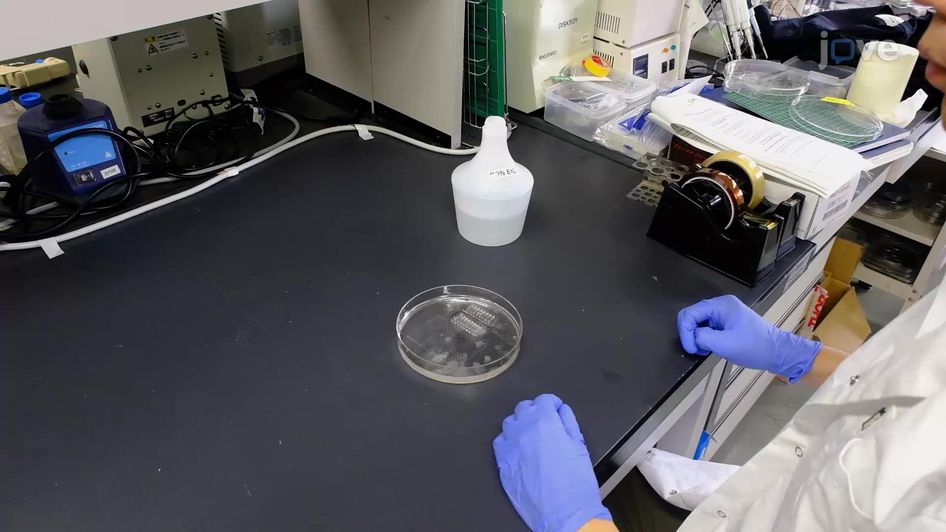 Developing Human iPSC-Derived Motor Nerve Organoids Using a Microfluidic Chip