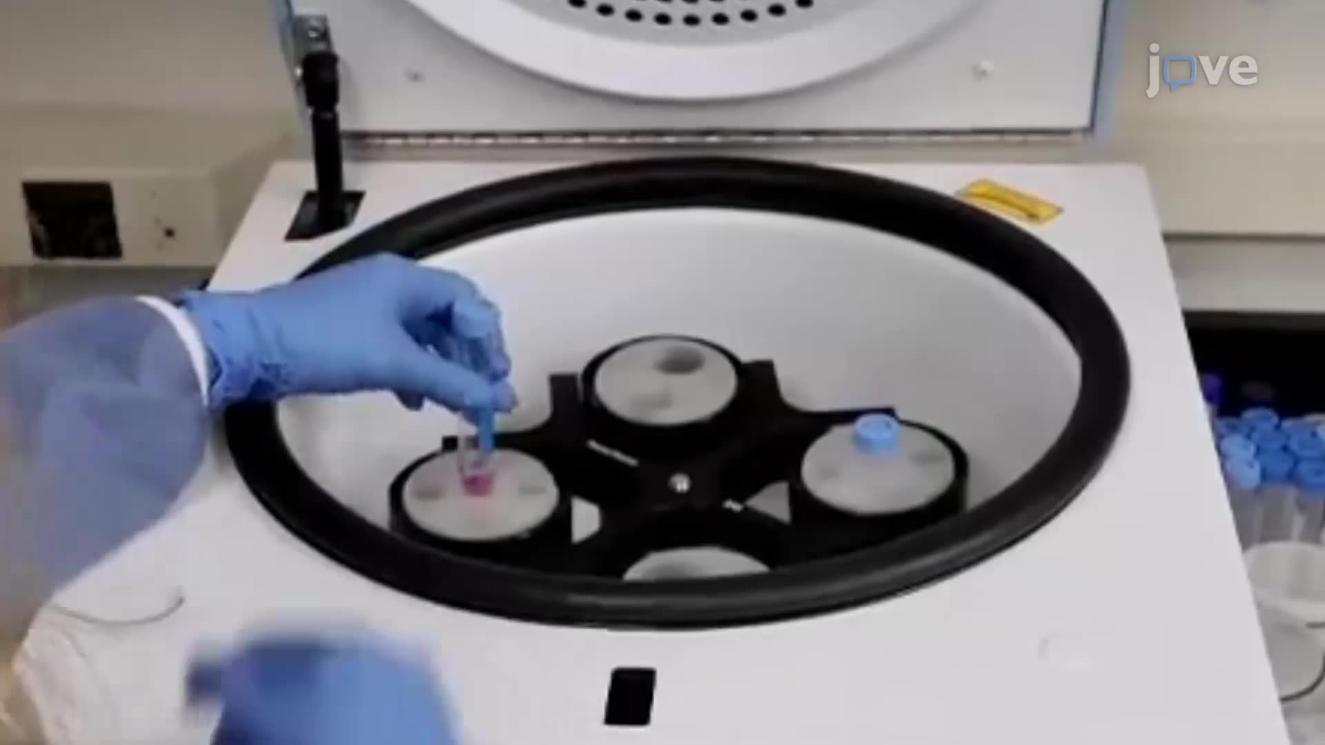 Direct Reprogramming of Hematopoietic Progenitor Cells into Neural Stem Cells