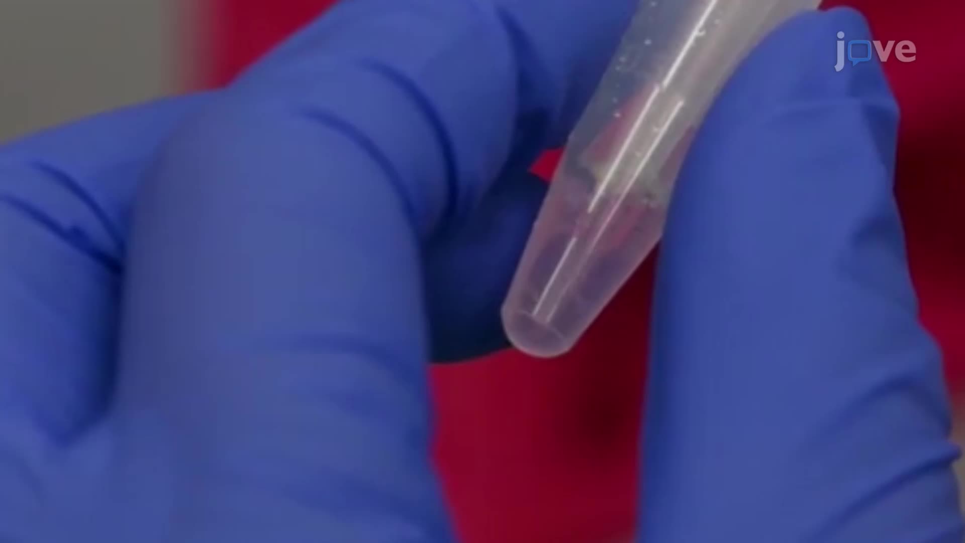 Isolation of Cells from Sensory Ganglia