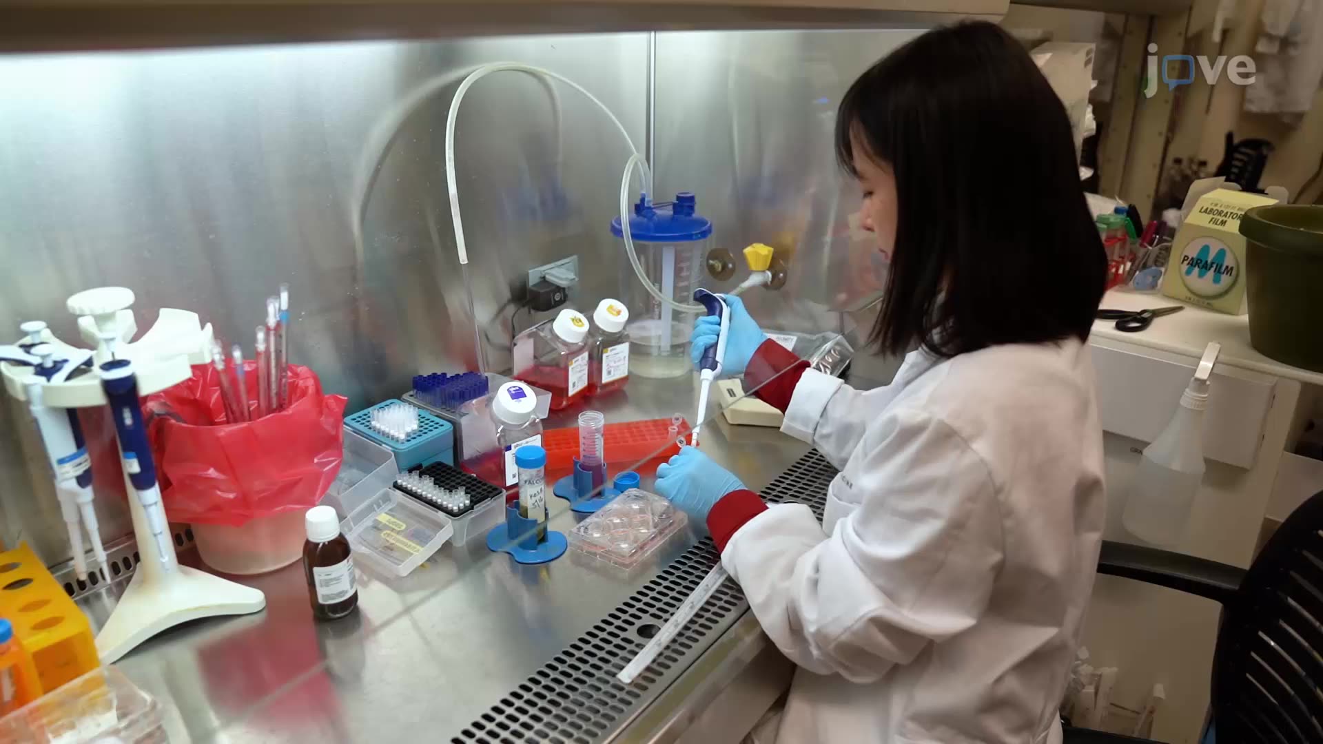 Geçici DMSO Tedavisi ile Kök Hücre Farklılaşmasının Arttırılması