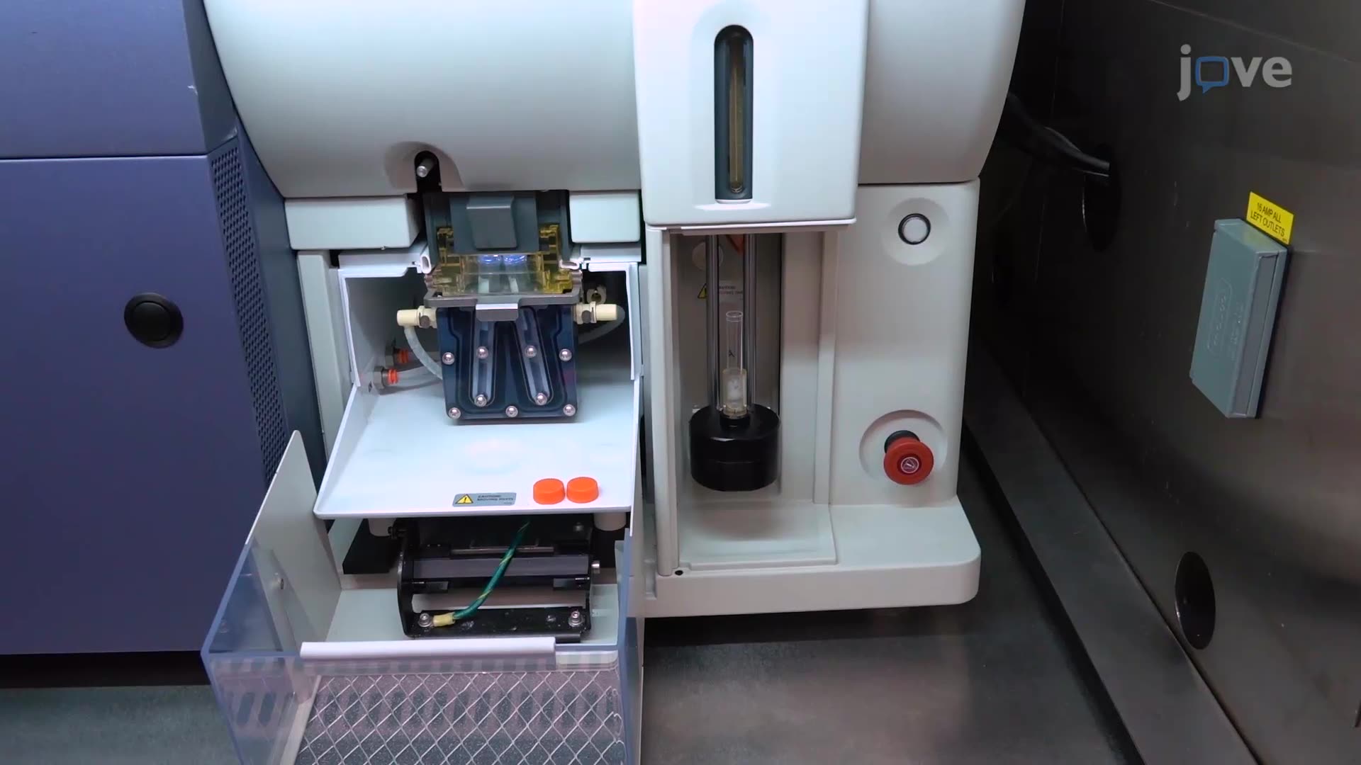 Video: Isolation of Neurons from Caenorhabditis elegans via ...