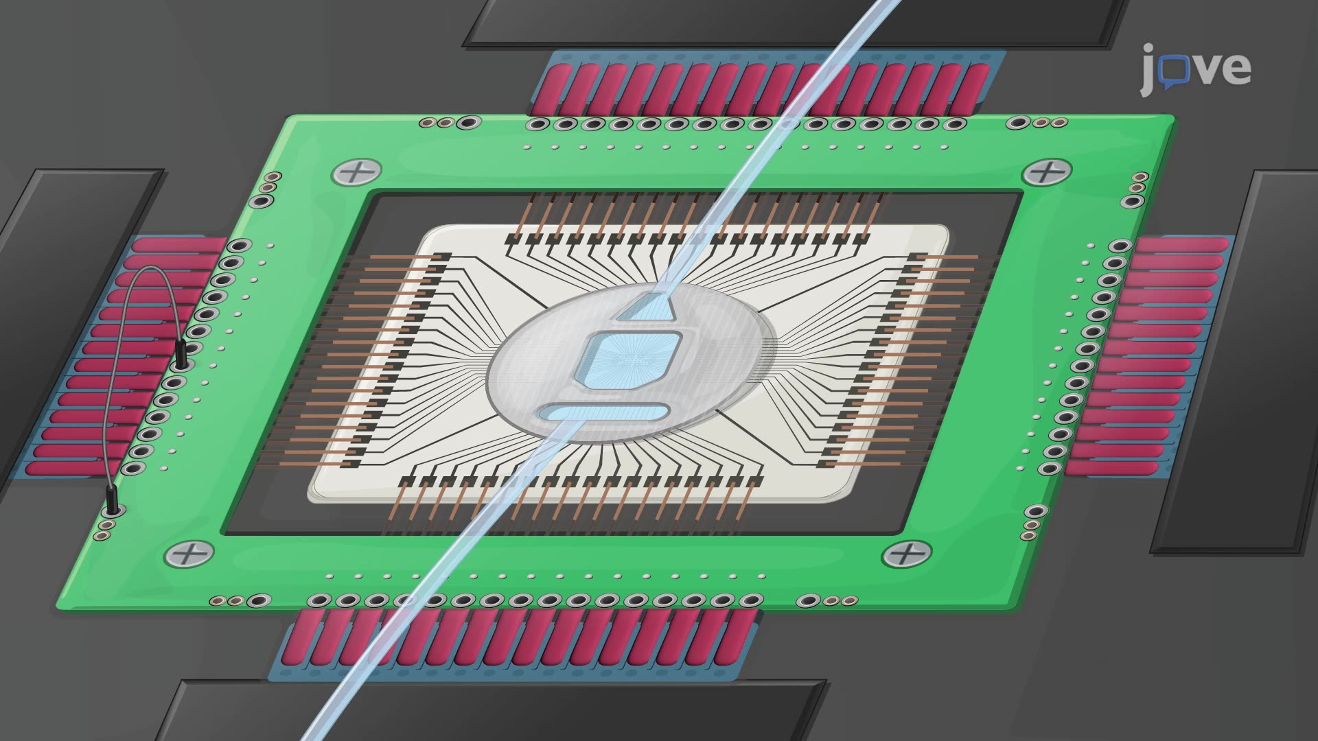 Monitoring Seizure-Induced Neural Electrical Activity in Brain Slices Using Microelectrode Arrays
