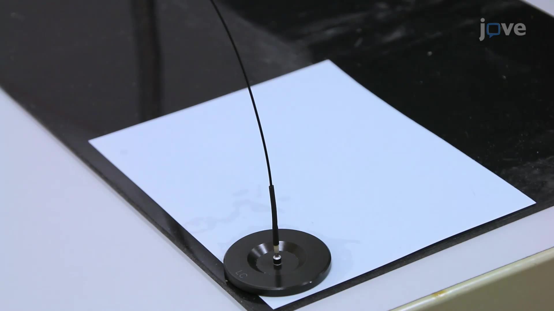 Recording Neural Activity in Freely Moving Mice Using Fiber Photometry
