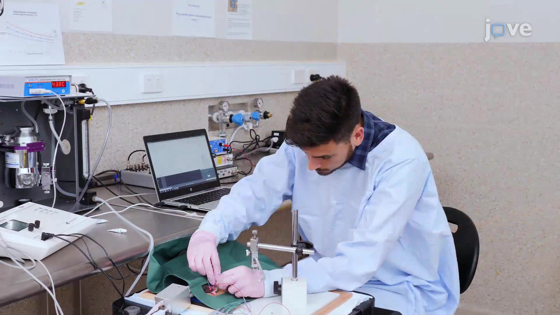 In Vivo Measurement of the Compound Muscle Action Potential in a Rat