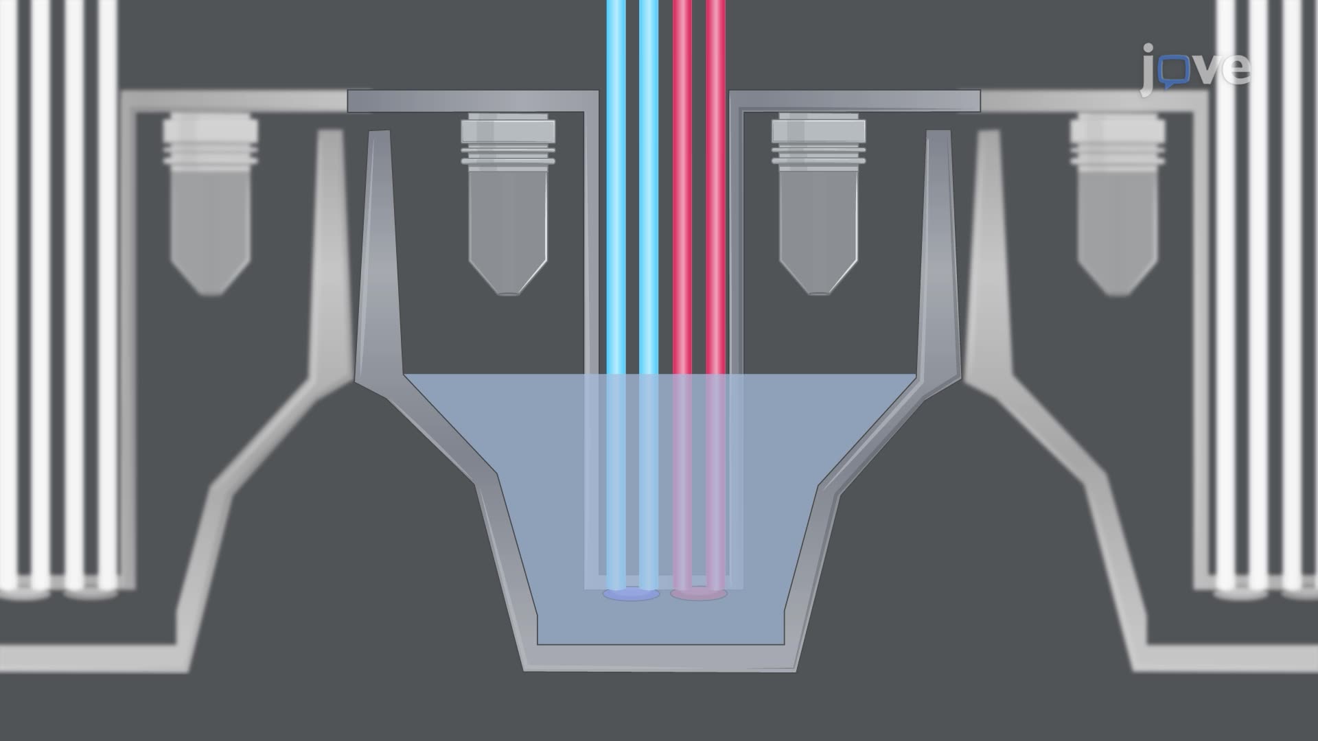 Assessing Mitochondrial Function in Cerebral Vascular Endothelial Cells