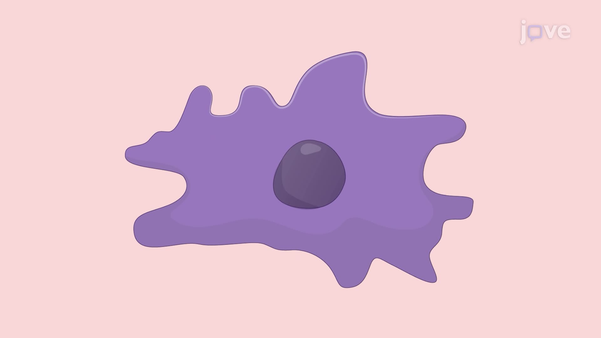 Determining Nanoparticle-Induced Toxicity in Neurons Using Microglia as a Surrogate Biosensor