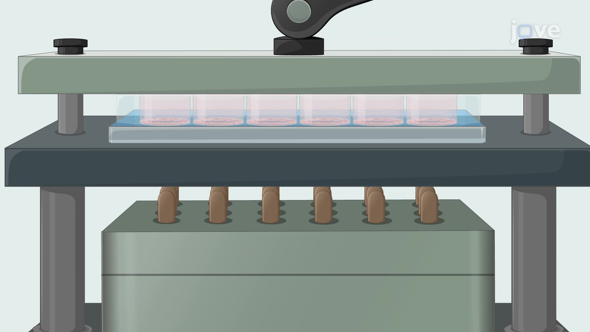 An In Vitro Model of Stretch Injury in Human Induced Pluripotent Stem Cell-Derived Neurons