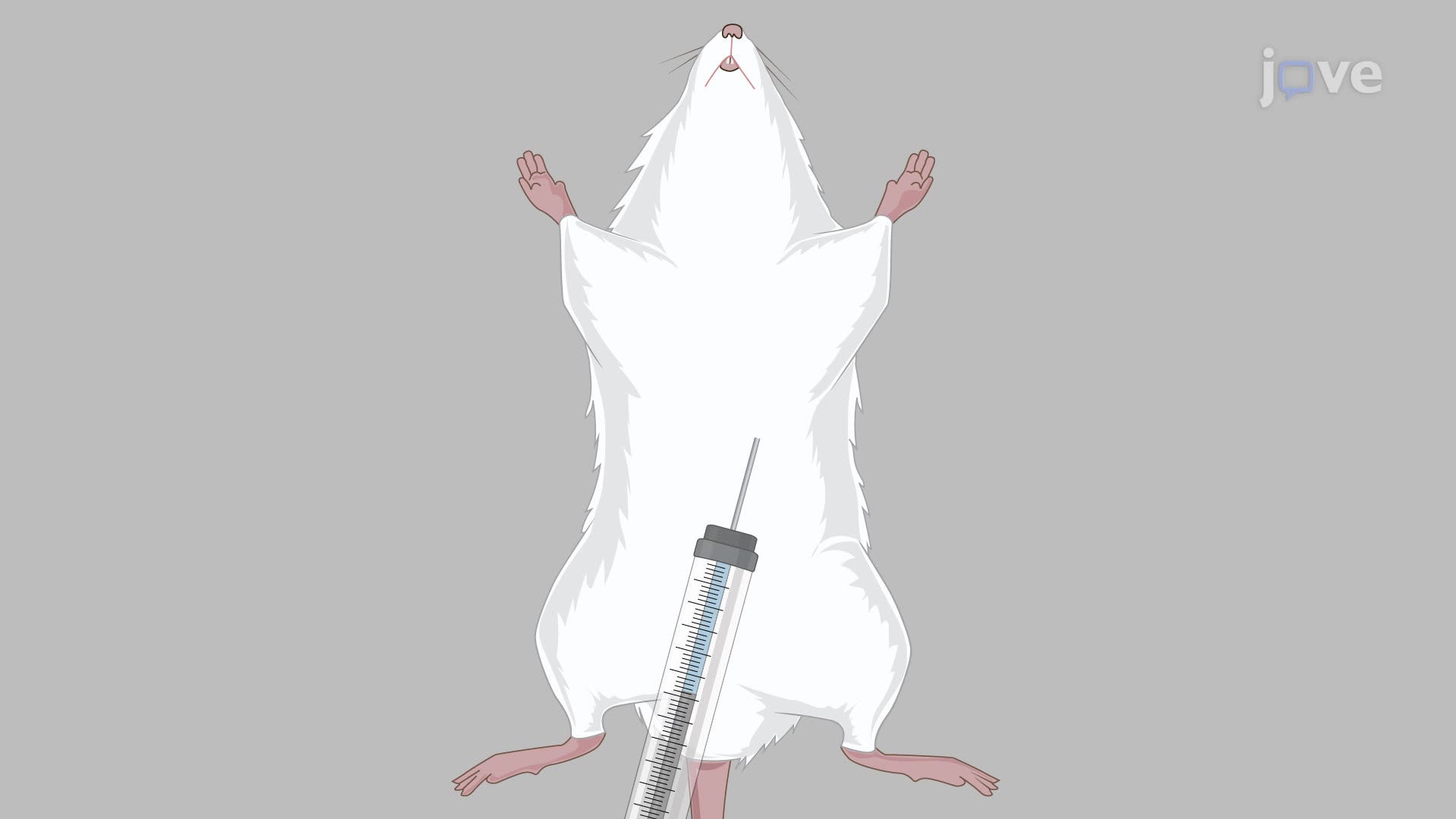 Establishing a Mouse Model of Small Fiber Neuropathy Using Resiniferatoxin