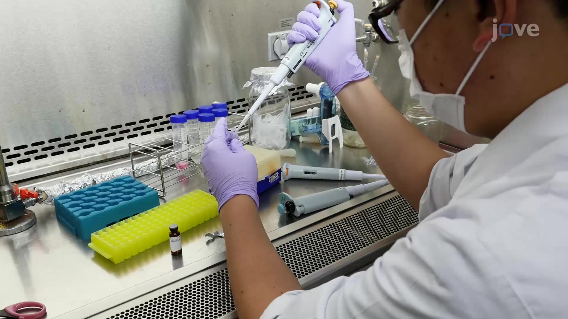 In Vitro Assessment of Aggregated Amyloid-β on Neuronal Growth Cone Collapse