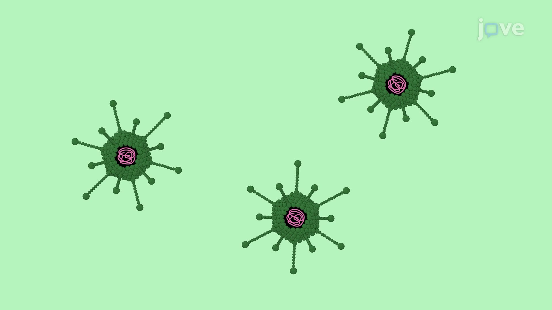 A Viral Vector Injection into the Rat Substantia Nigra for Neurodegenerative Disease Modeling