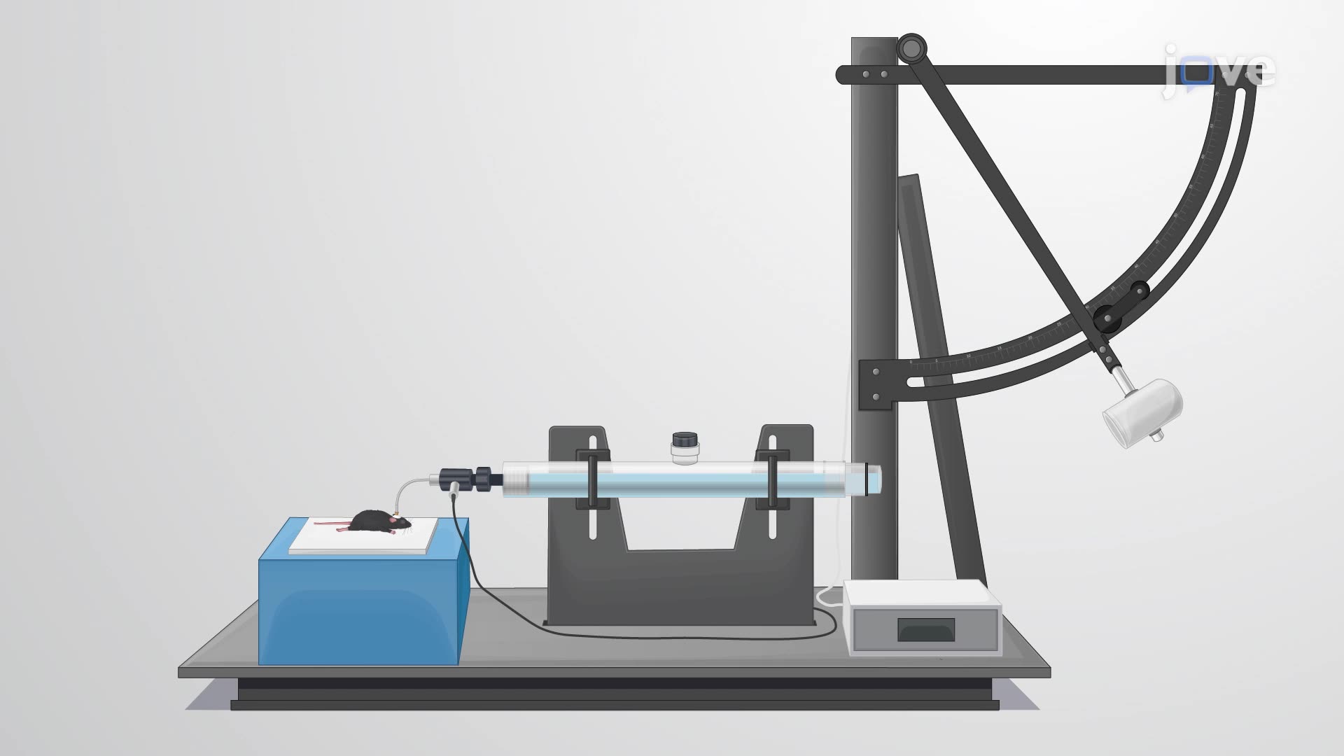 Generating a Mouse Model of Traumatic Brain Injury Using a Lateral Fluid Percussion Device