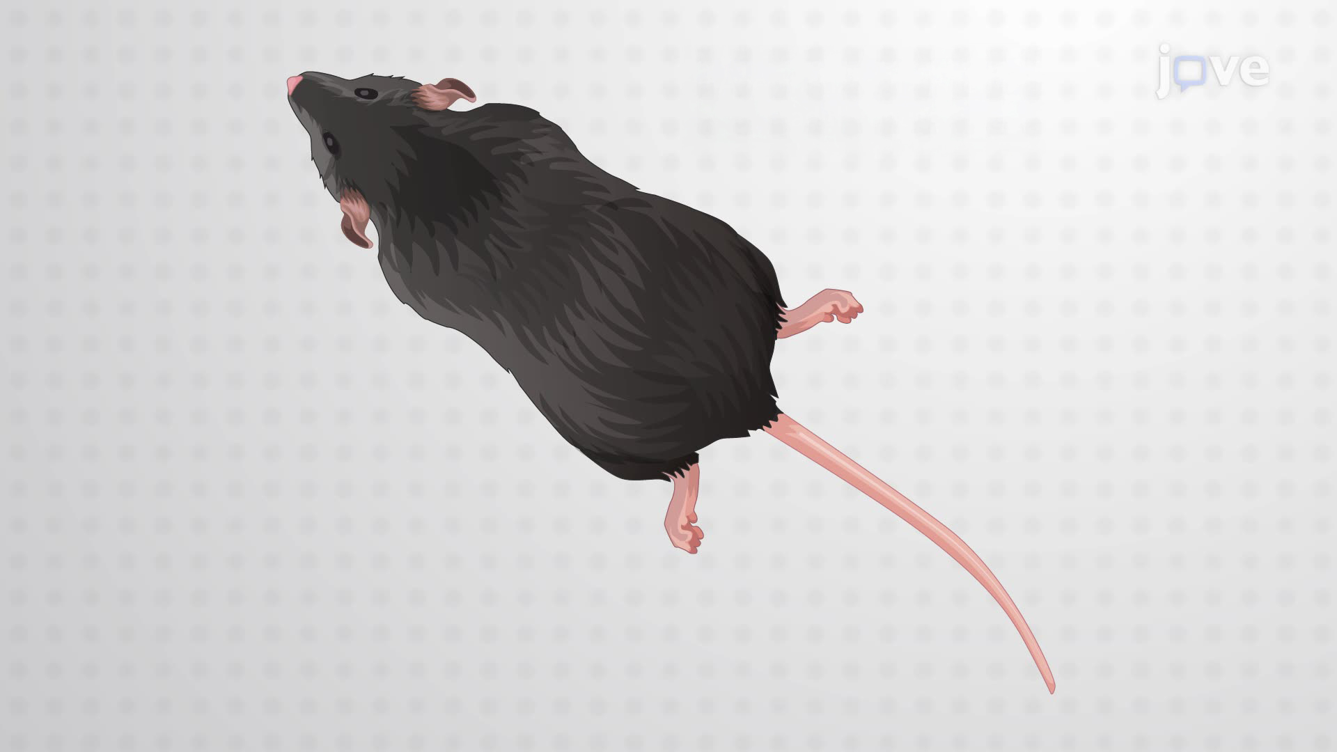 Triggering and Monitoring Heat-Induced Seizures in a Transgenic Mouse Model