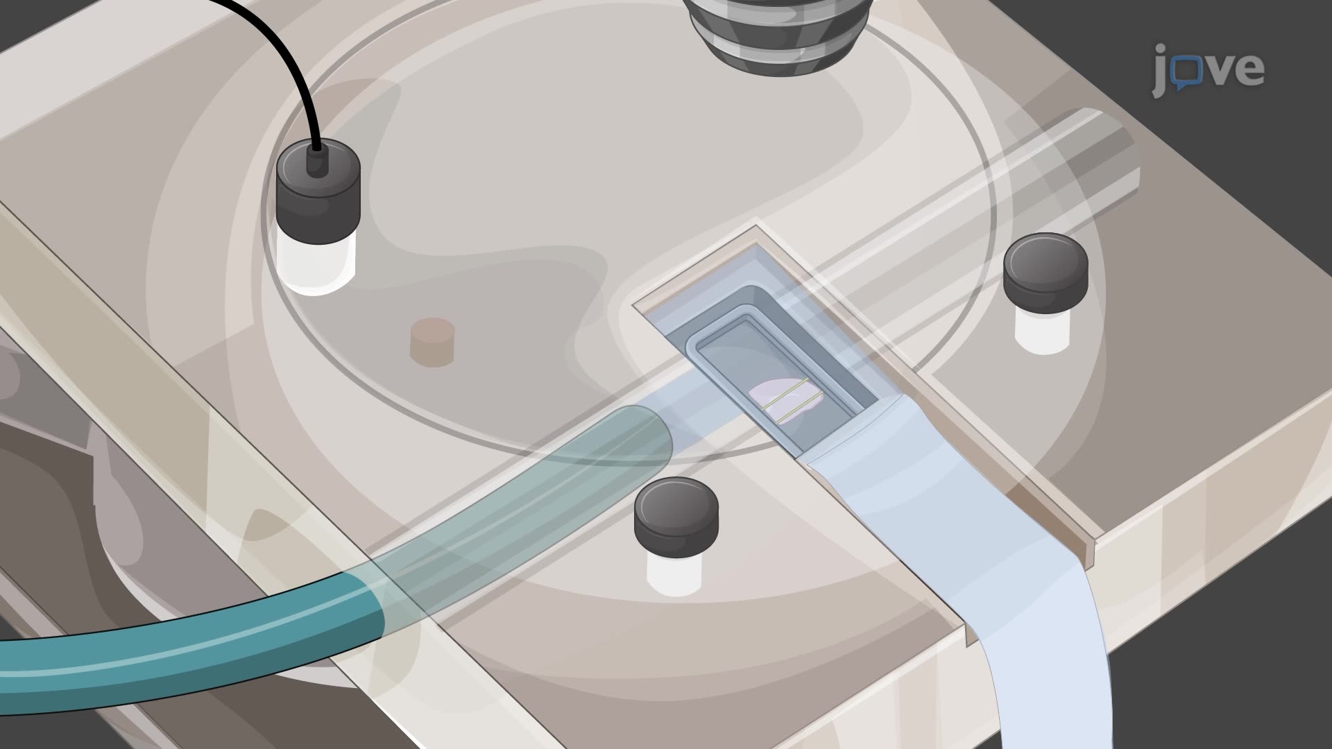 Generation of Spontaneous and On-Demand Ictal Events in Mouse Brain Cortical Slices