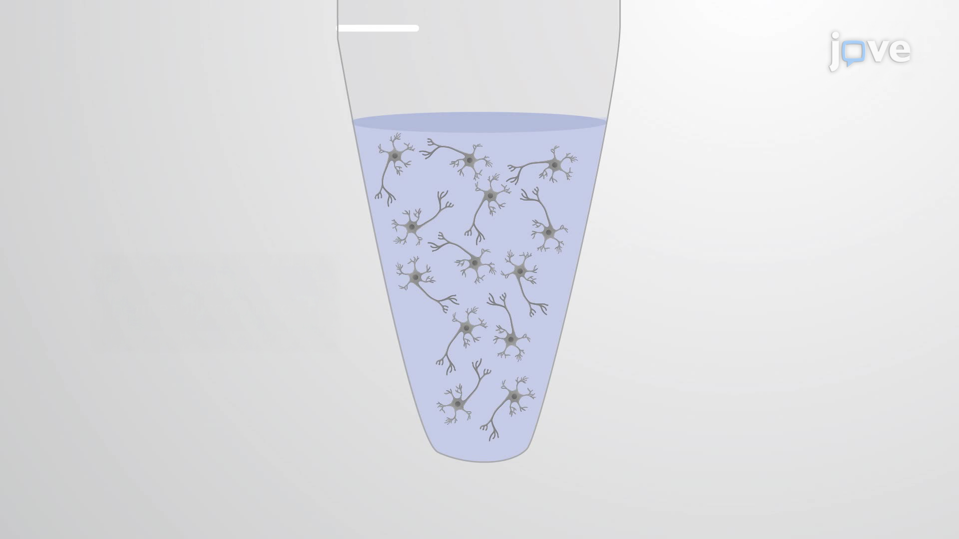 Measurement of Multiple Mitochondrial Parameters in Neurons using Flow Cytometry