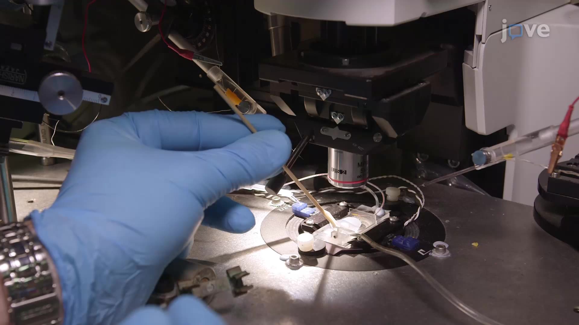 Characterizing Extracellular Space in a Brain Slice Using Ion-Selective and Iontophoresis Microelectrodes