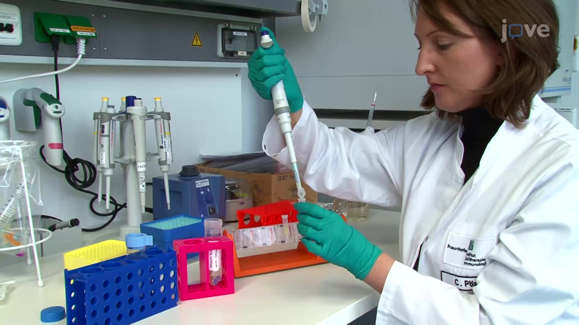 İskemik Fare Beyin Dokularından Hücre Süspansiyonlarının Elde Edilmesi