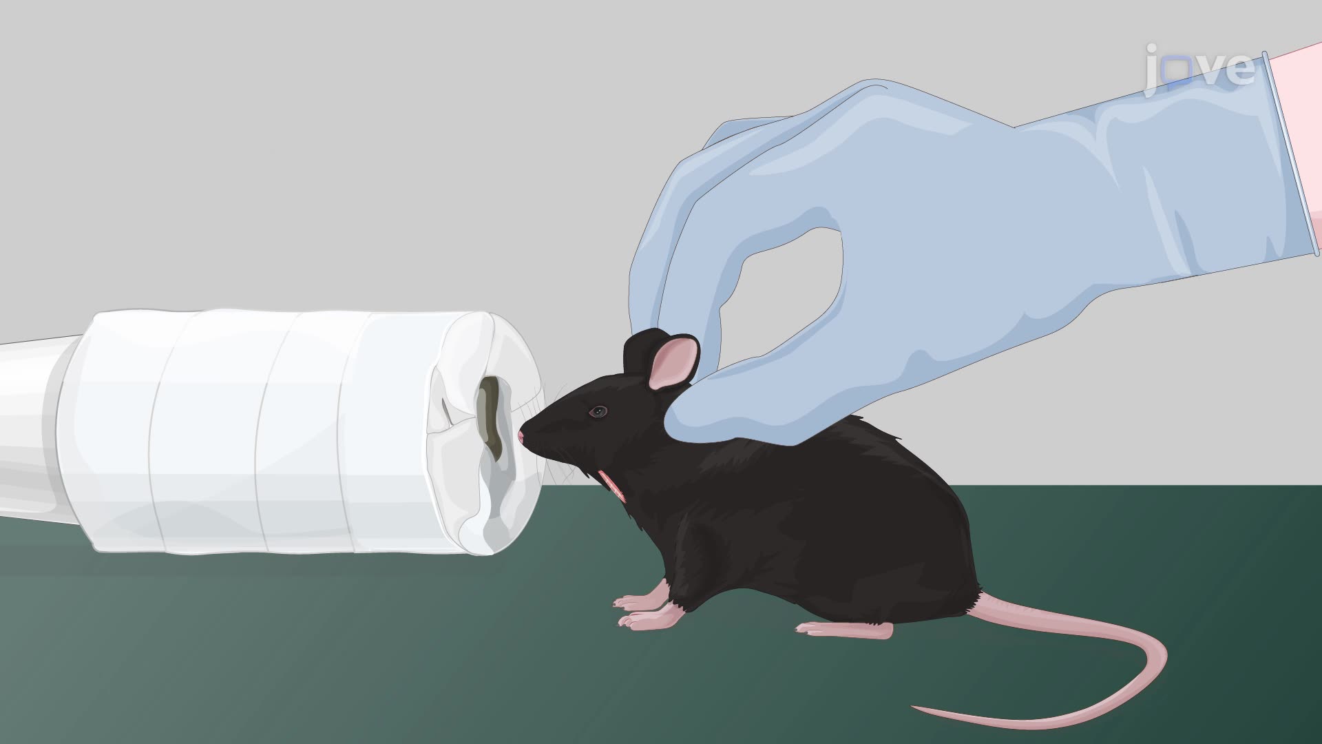 Inducing Thrombotic Stroke Through Hypoxia and Ischemia in a Mouse Model