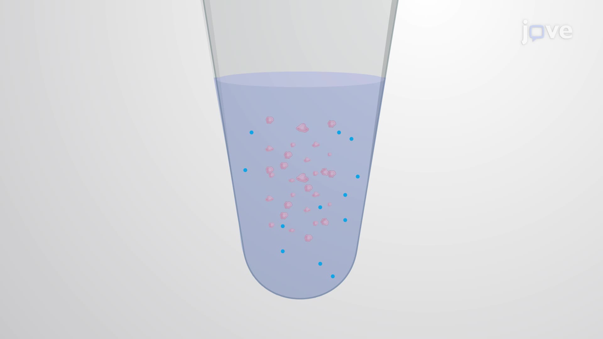 Crosslinking Neuronal Surface Proteins in the Mouse Brain using a Chemical Crosslinking Assay