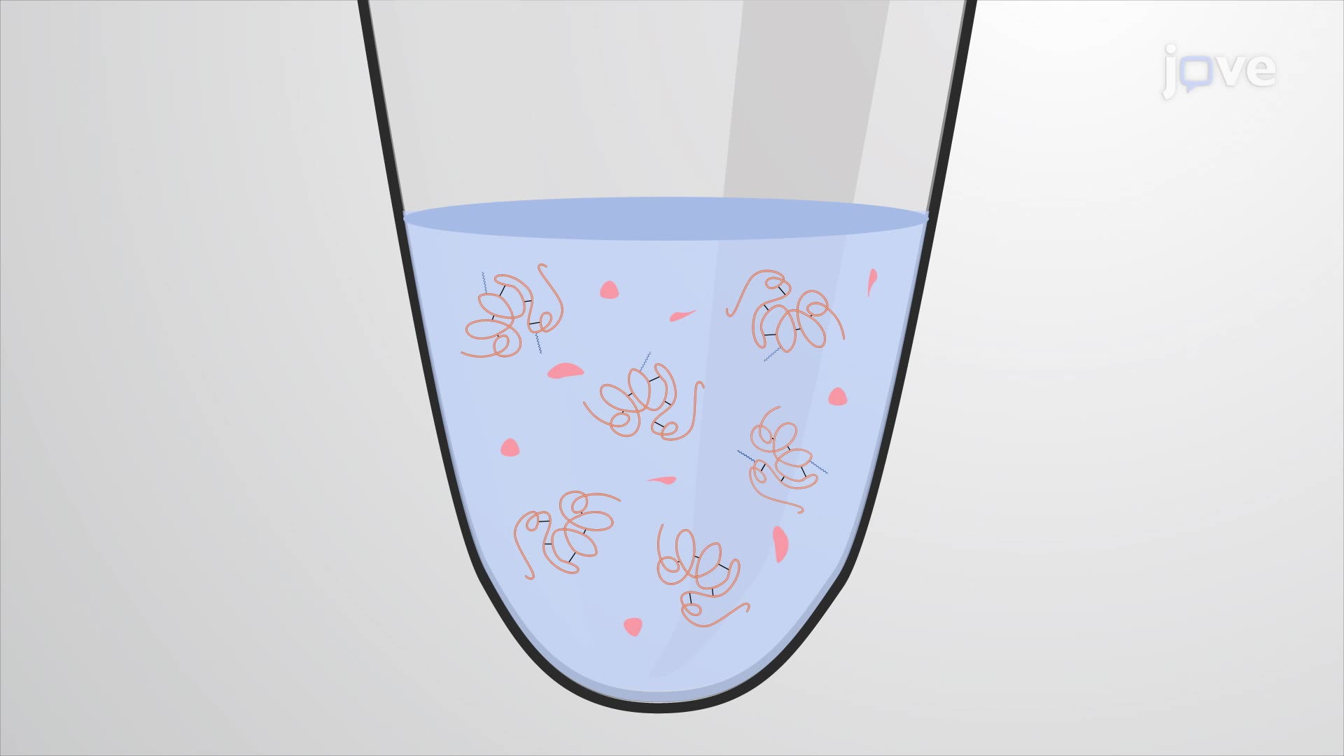Assessing the Palmitoylation State of Cell Membrane Proteins from Mouse Brain Tissue