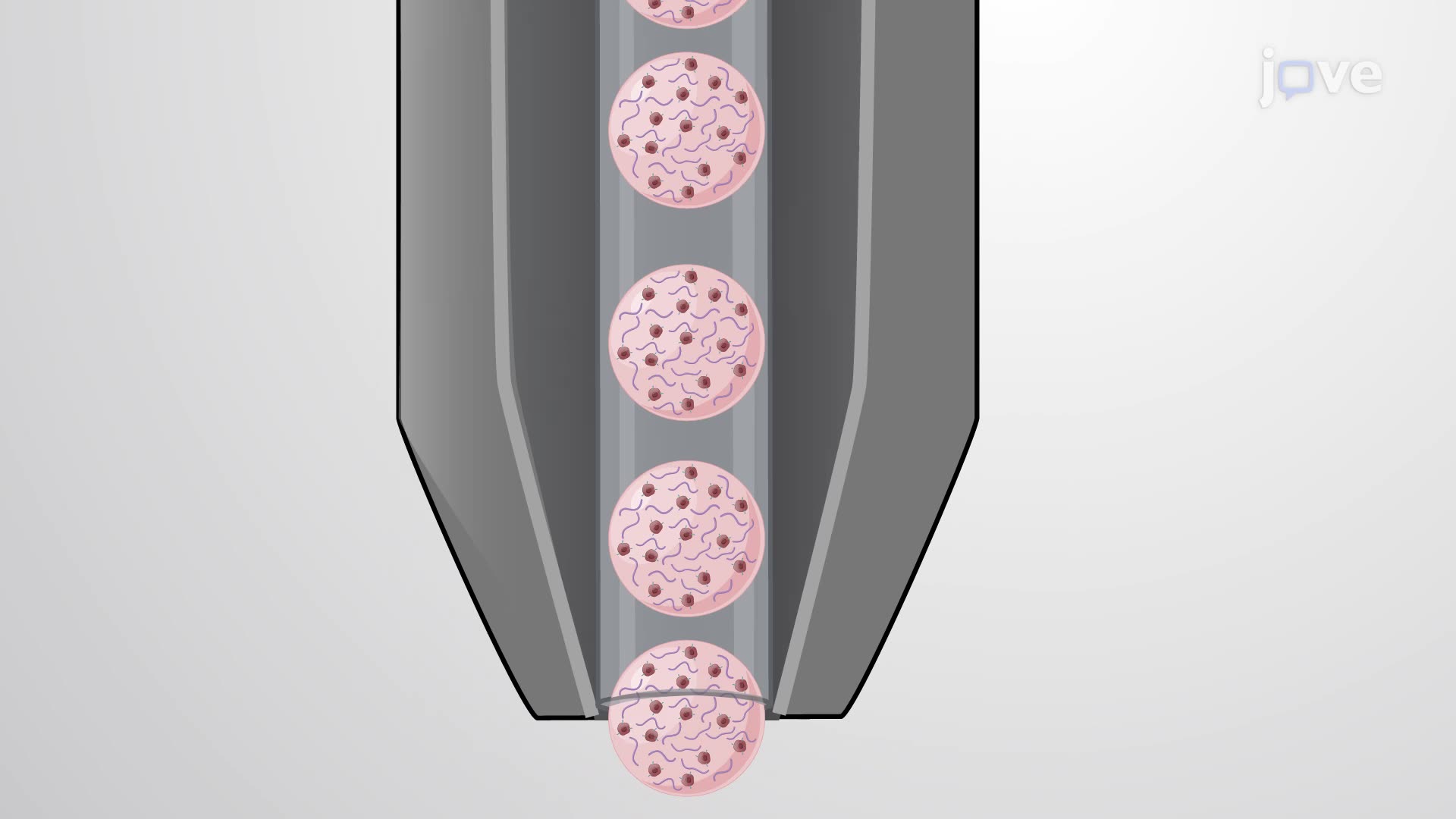 Fabrication of Amyloid-Beta-Releasing Polymer Microbeads for Modeling Alzheimer's Disease