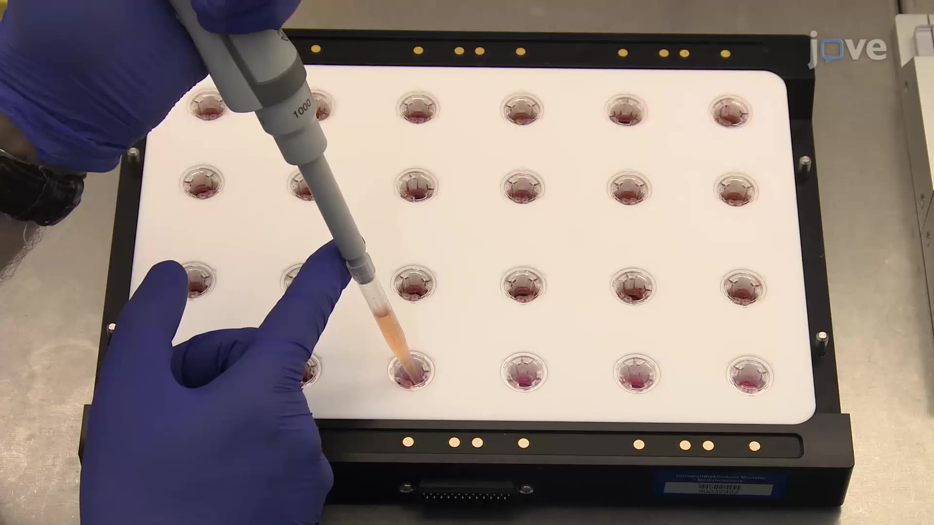 Assessing Transendothelial Electrical Resistance in an In Vitro Blood-Brain Barrier Model