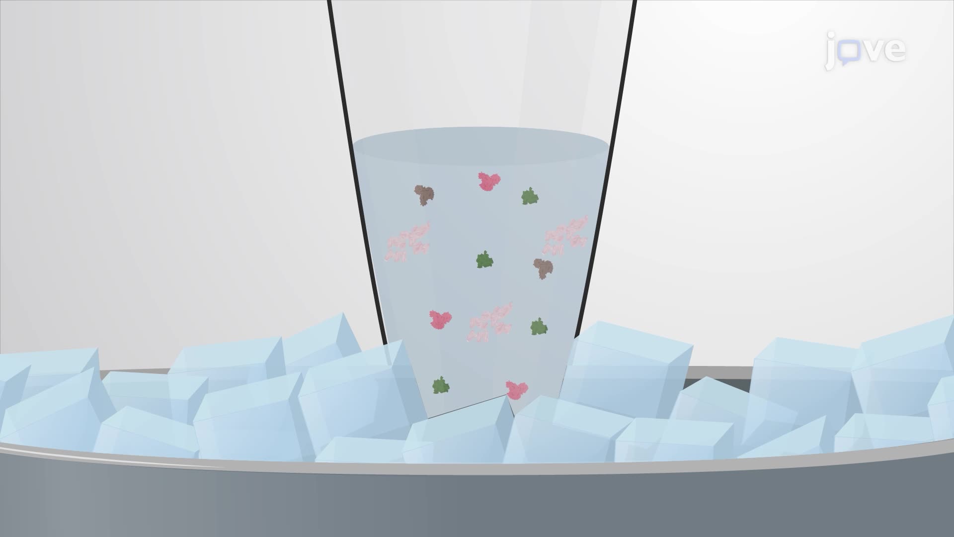 Analysis of Glutamic Acid Decarboxylase Isoforms in Human Brain Tissue