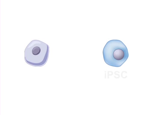 Induced Pluripotency