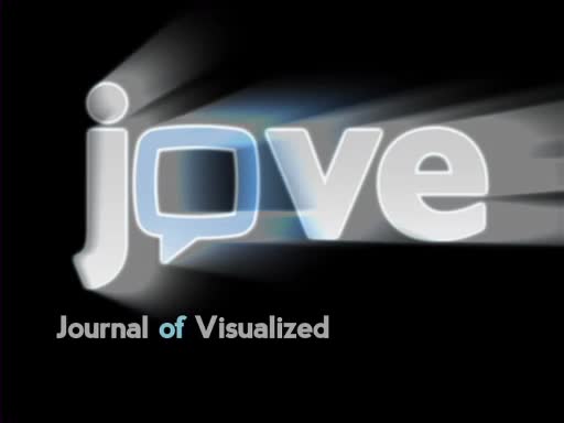 What Is JoVE Portuguese what-is-jove-portuguese