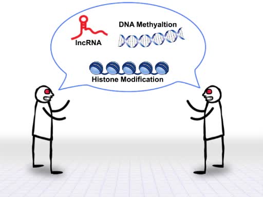 סקירה כללית של אפיגנטיקה