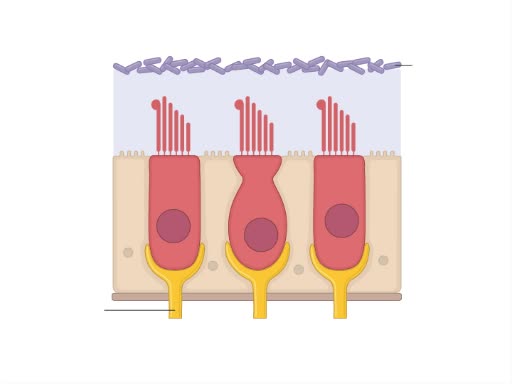 使用 3D 矩阵的入侵检测