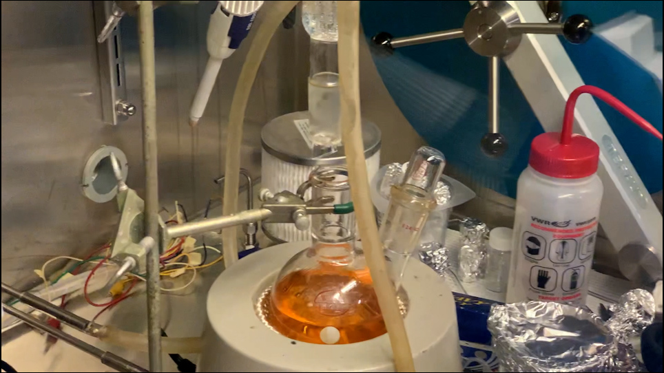 Gold Nanoparticle Synthesis