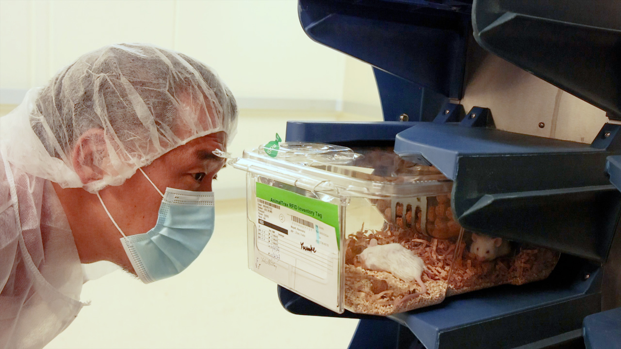 JoVE Peer Reviewed Scientific Video Journal Methods And Protocols