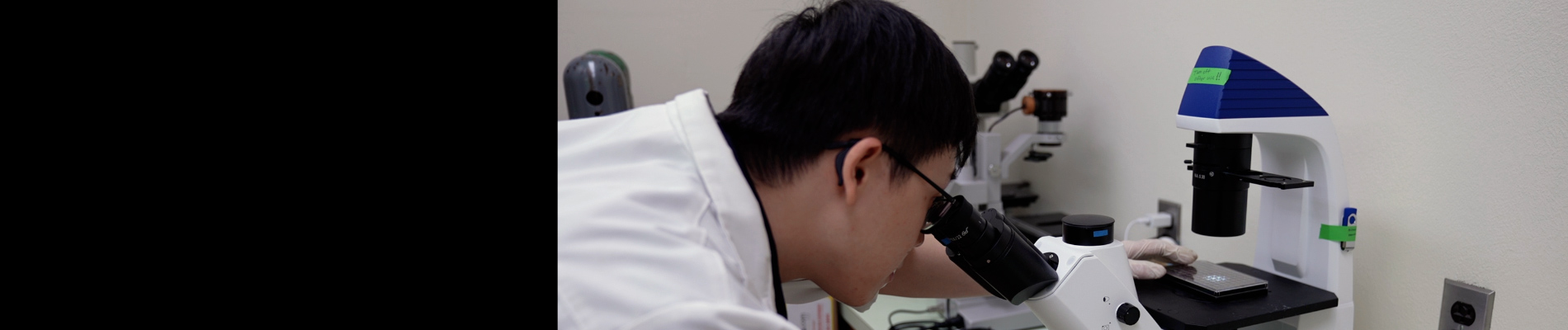 Intrapulmonary Inoculation of Multicellular Spheroids to Model ...