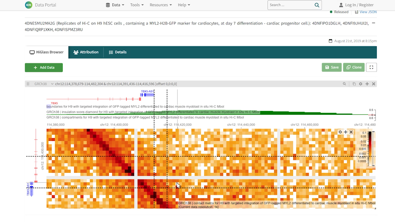 A Web-Based Workflow for Selecting Gene- and Tissue-Specific Enhancers