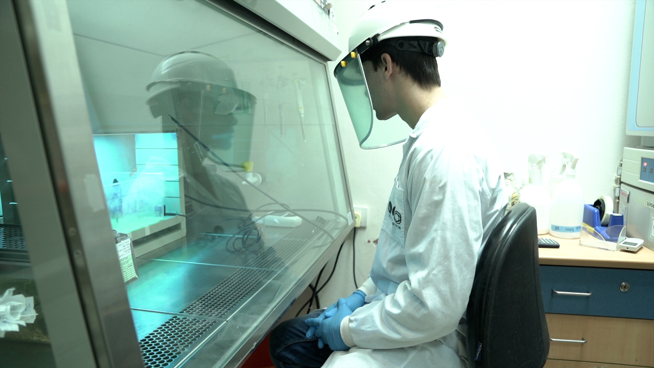 Studying Chronic Exposure of Mice to Ultraviolet B Radiation