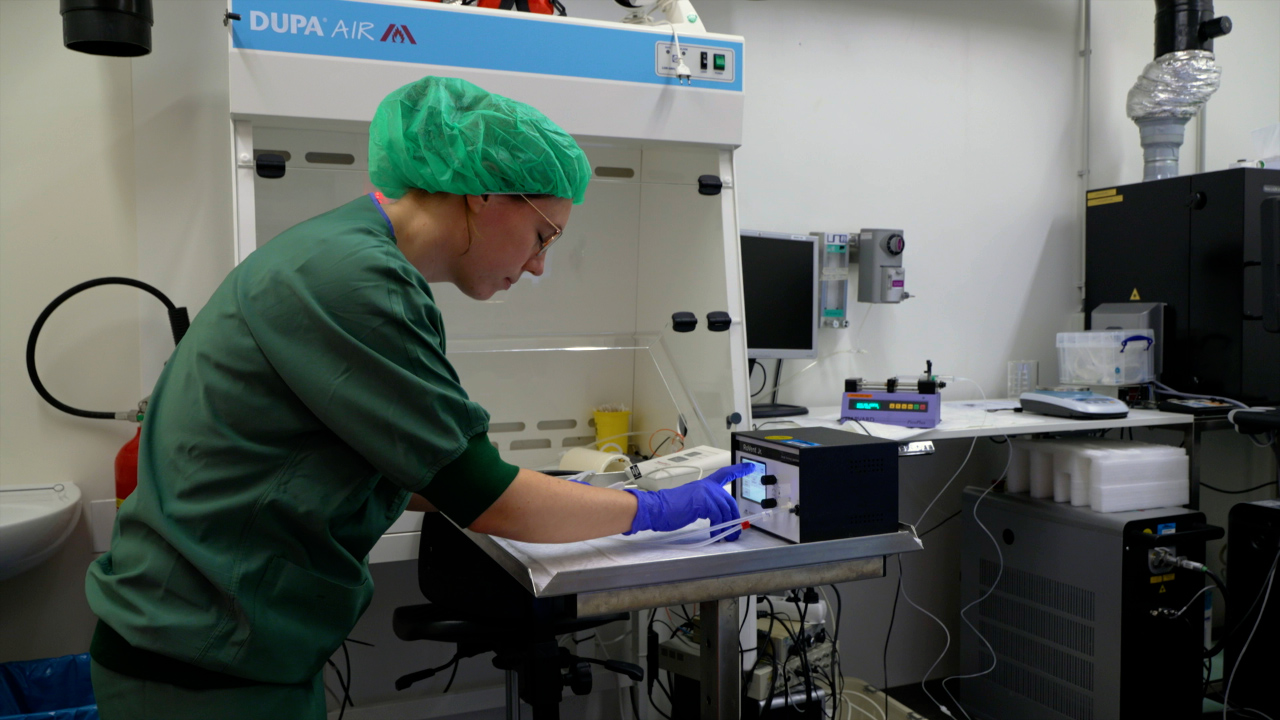 3D Cine Magnetic Resonance Imaging of Respiratory Motion in Mechanically Ventilated Mice and Rats