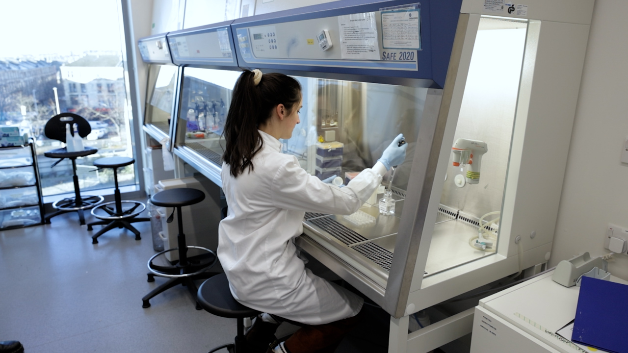 Mechanical Mapping of Spheroids Using Brillouin Spectroscopy