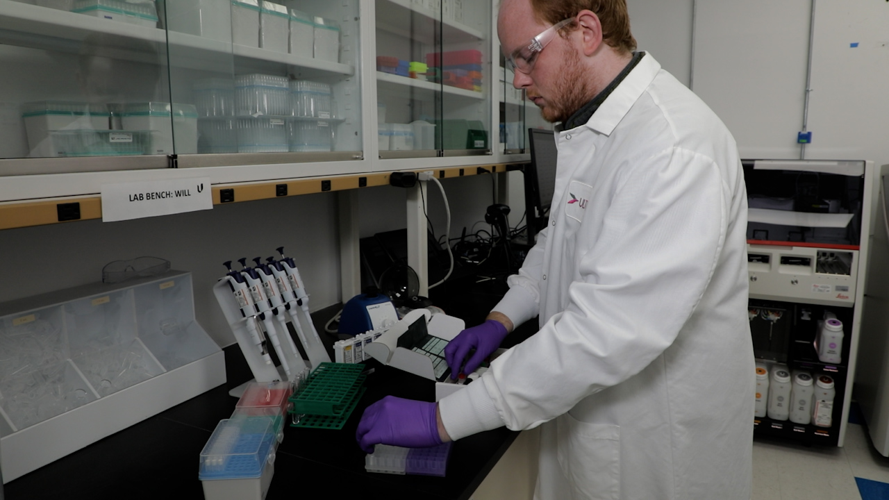 High-Throughput Automated Multiplex Immunofluorescence Assays for Translational Research