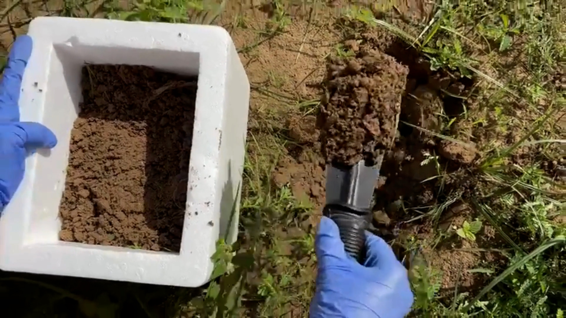 In Situ Isolation and Culturing of Recalcitrant Soil Bacteria using an Isolation Chip (iChip)
