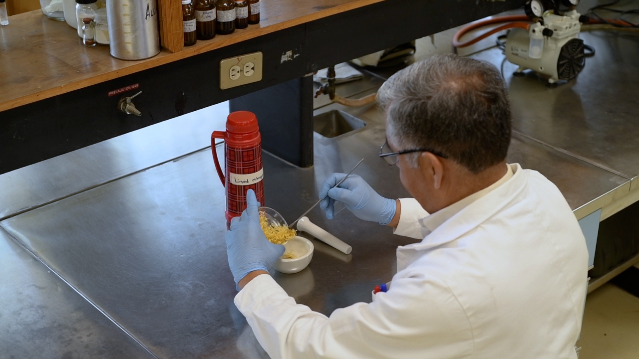 Flavonoid Content During the Growth and Floral Development of Calendula officinalis L.