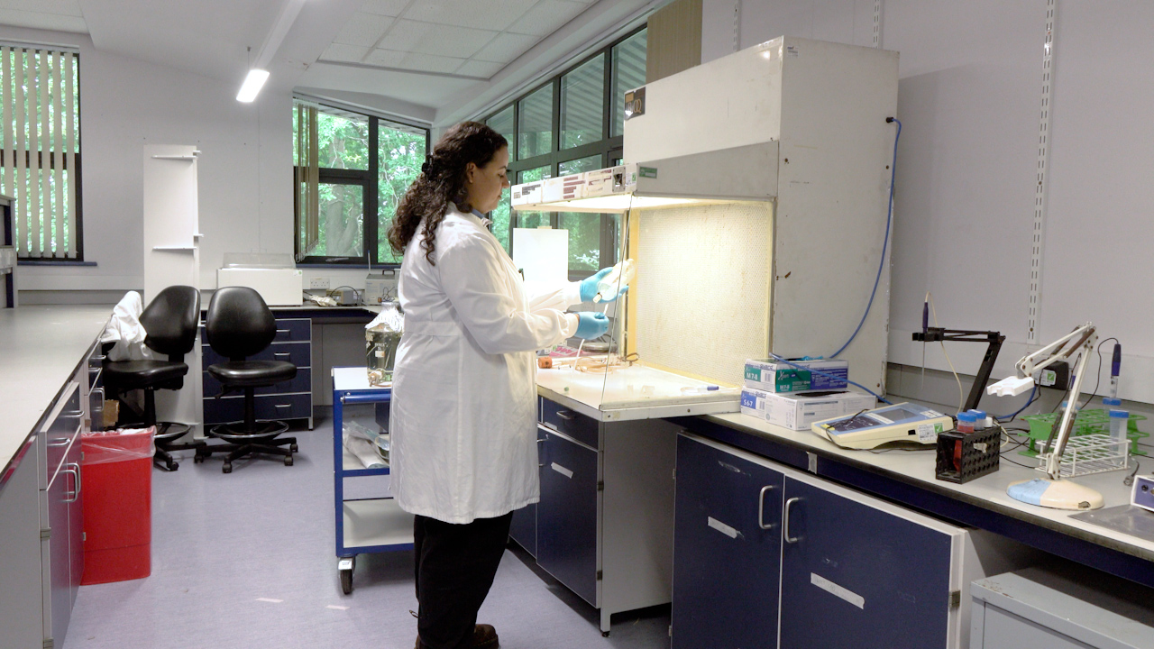 An In Vitro Bladder Model of Catheter-Associated Urinary Tract Infection