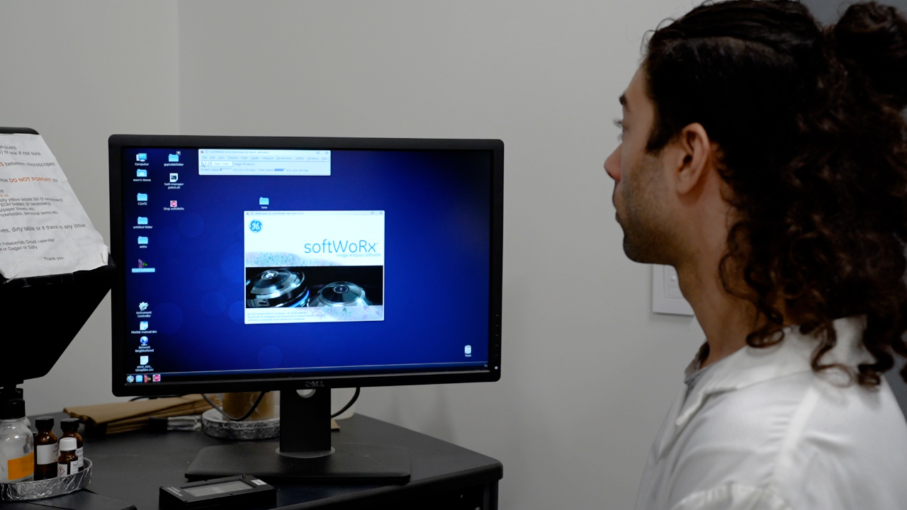 Un protocollo di citometria per elettroporazione per microscopia a fluorescenza su cellule vive utilizzando la coltura cellulare U2 OS