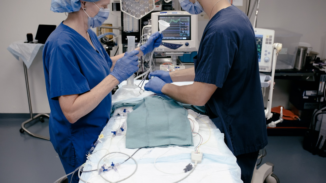 Development of a Neonatal Piglet Acute Lung Injury Model Recreating the Early Environment of Preterm Infant Lungs