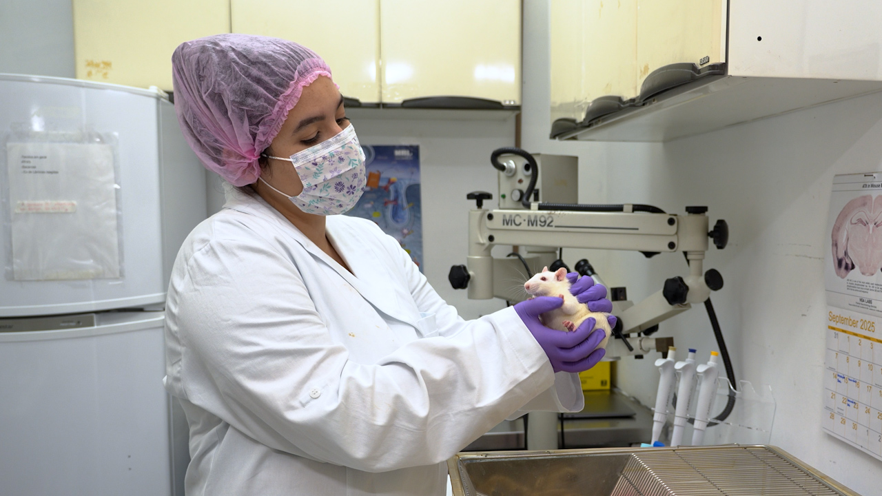 Oromucosal as an Alternative Method for Administration of Cannabis Products in Rodents