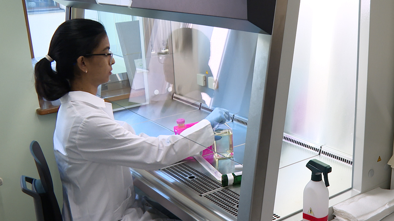 Generation of Monoclonal Cultures from <em>Wolbachia</em>-infected <em>Drosophila melanogaster</em> JW18 Cell Line