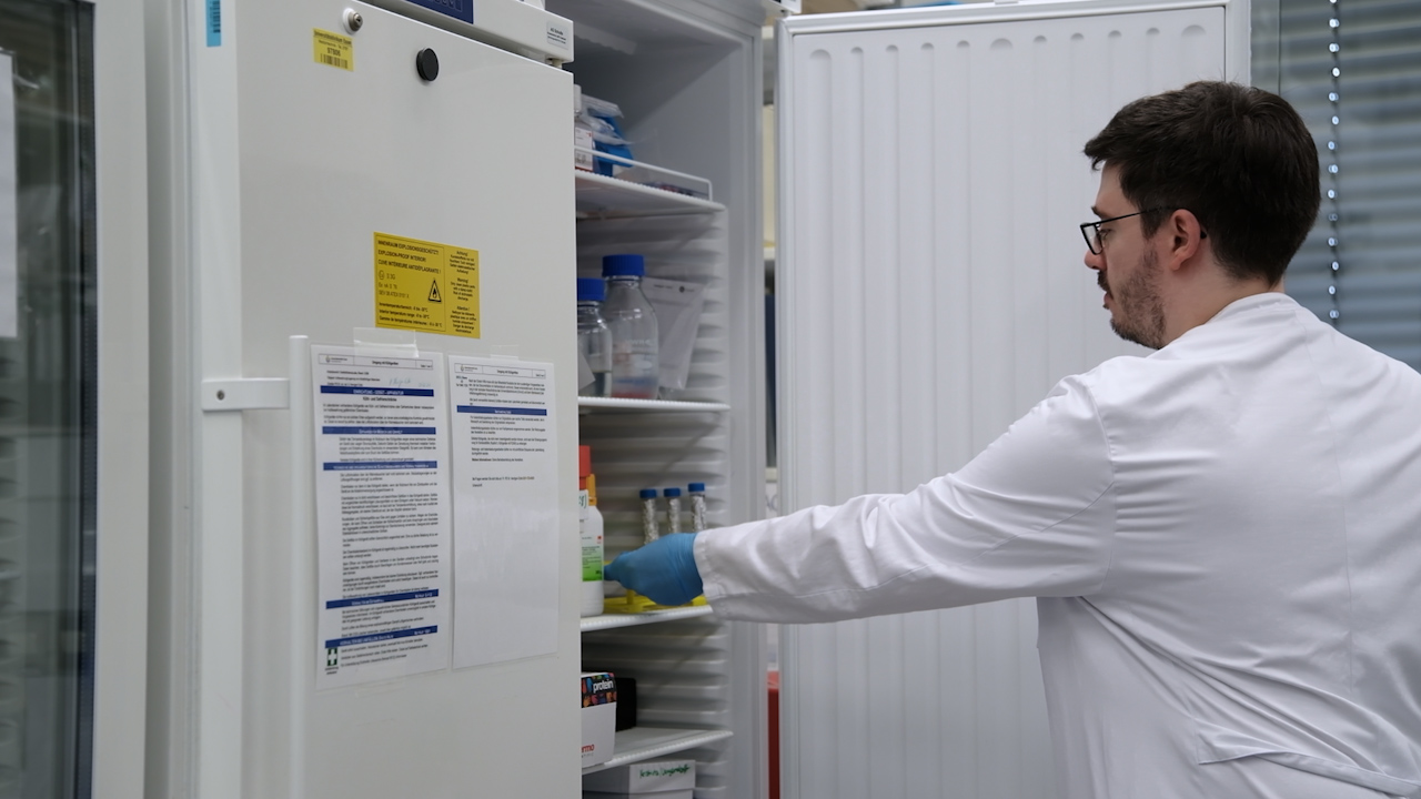 Simultaneous 3D Analysis of Cardiac Damage and Immune Response in Reperfused Acute Myocardial Infarction Using Light Sheet Fluorescence Microscopy