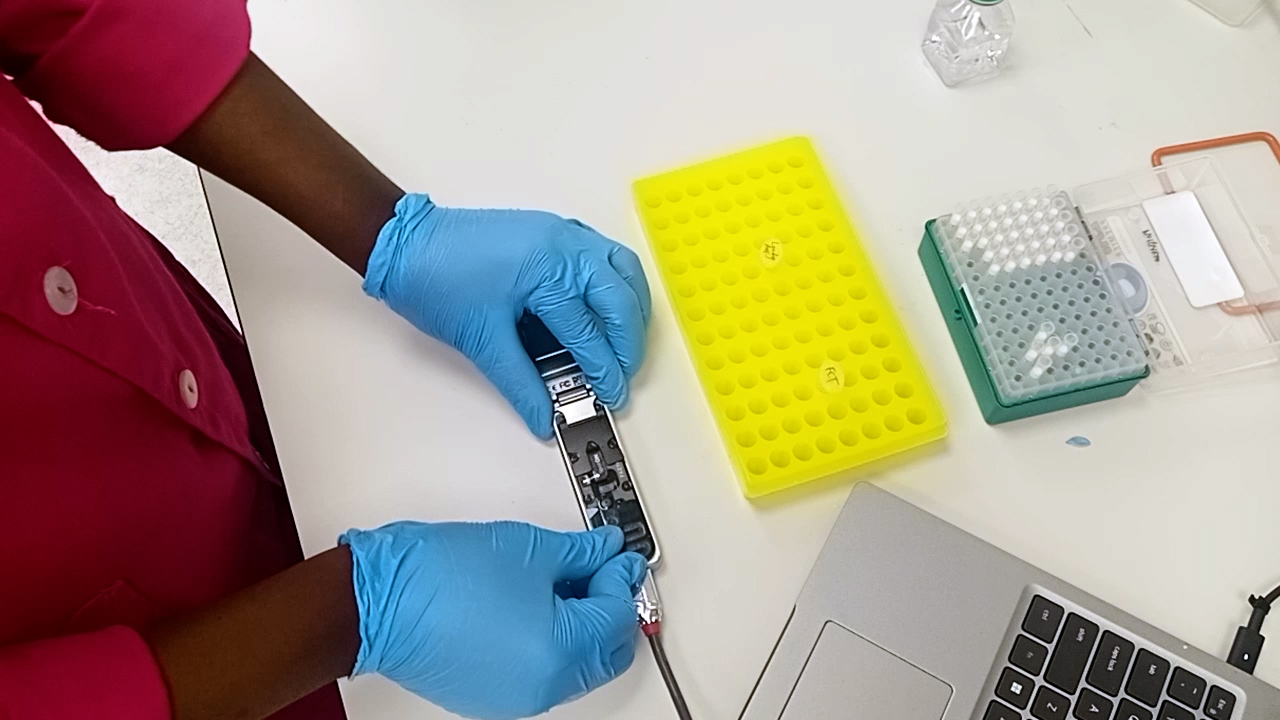 Amplicon Sequencing using the Long-Read Sequencing Technologies