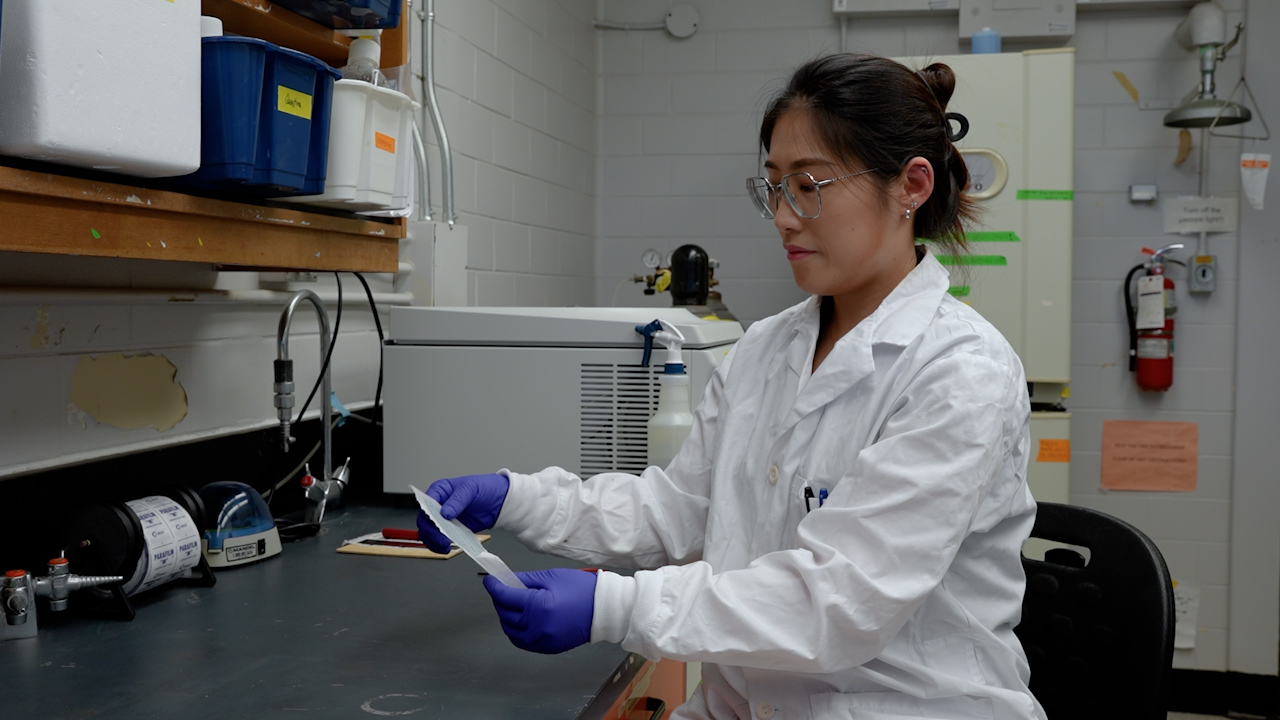 Reproducible Manufacturing of SPOT as a High-throughput Scaffold-based Culture Platform