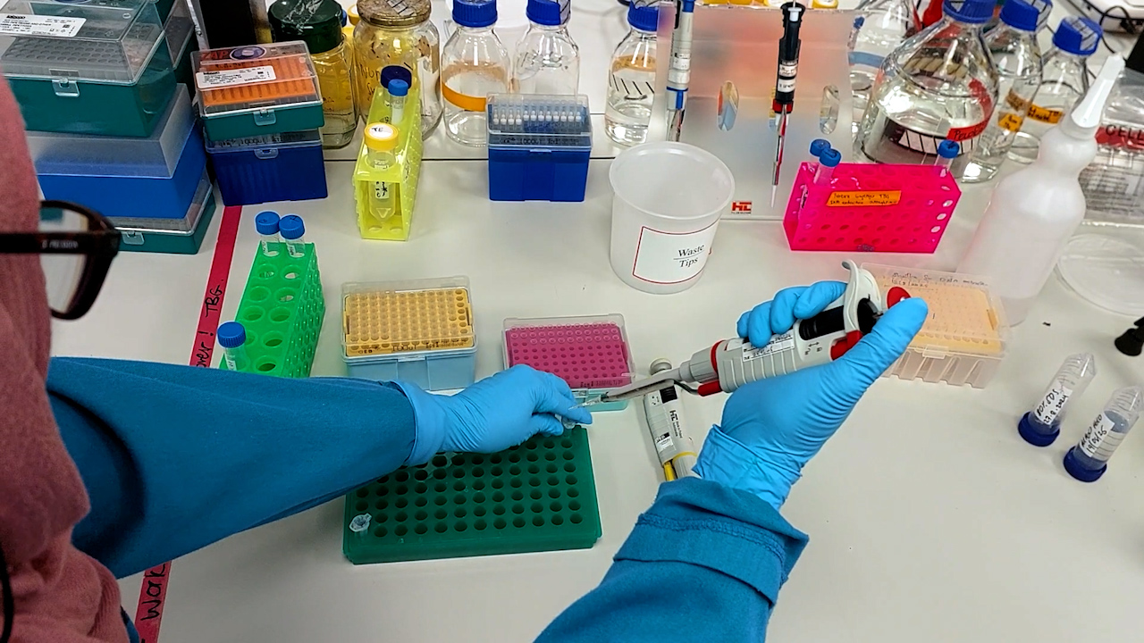 Whole-Genome Deoxyribonucleic Acid Extraction from <em>Mycobacterium</em> Species <em>via</em> the Cetyltrimethylammonium Bromide Technique