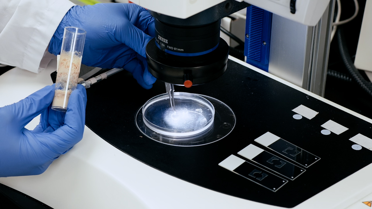 A GFP Complementation-based Dual-expression System for Assessing Cell-Cell Contact Mediated by Cytonemes in Live <em>Drosophila</em> Wing Imaginal Discs